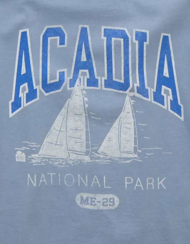 AE Boxy Acadia Nat'l Park Graphic T-Shirt