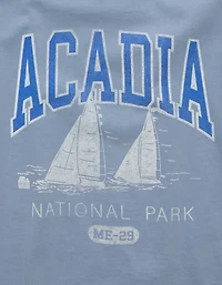 AE Boxy Acadia Nat'l Park Graphic T-Shirt