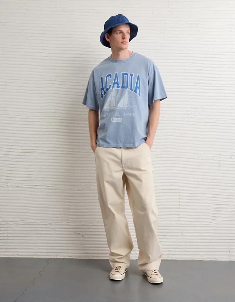 AE Boxy Acadia Nat'l Park Graphic T-Shirt