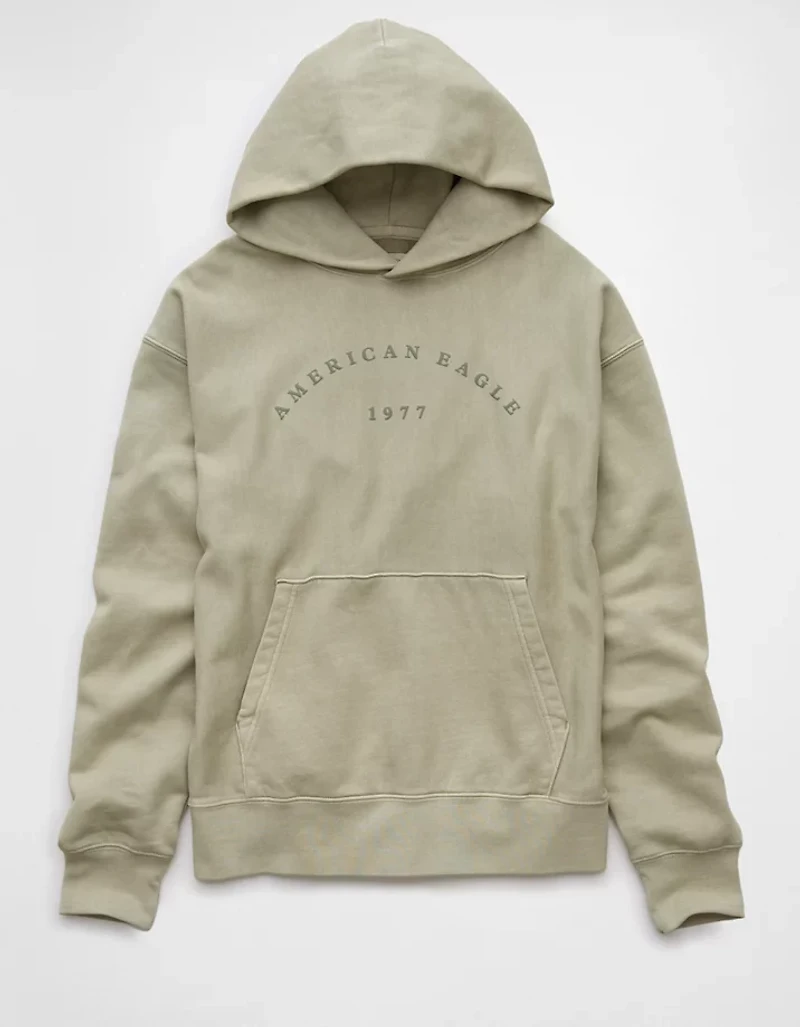 AE Laidback Luxe Heavyweight Logo Hoodie