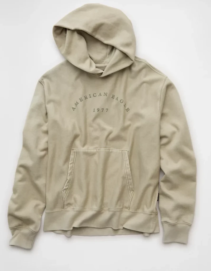 AE Laidback Luxe Heavyweight Graphic Hoodie