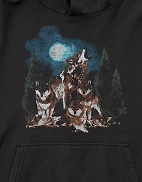 AE Howling Wolves Graphic Hoodie