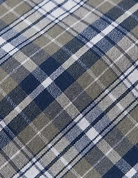 AEO Plaid Stretch Boxer Short