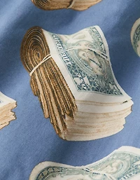 AEO Men's Dollar Bills Stretch Boxer Short