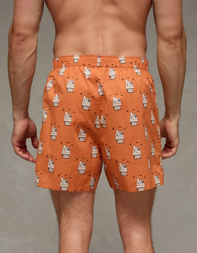 AEO Snoopy Cobweb Boxer Short