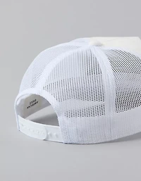 AE Eagle Twill Trucker Hat