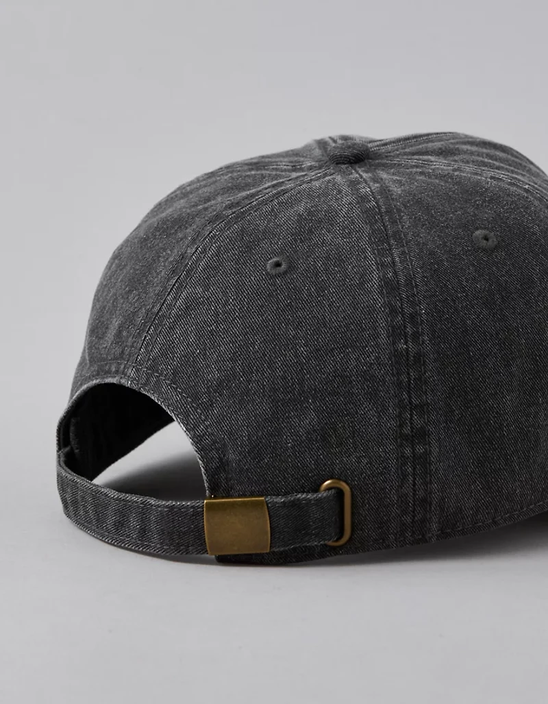 AE Logo Baseball Hat