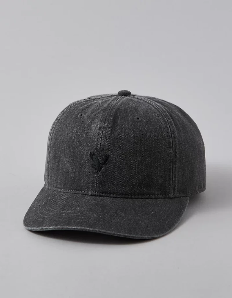 AE Logo Baseball Hat