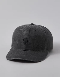 AE Logo Baseball Hat