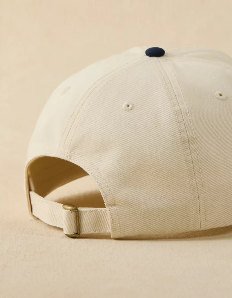 AE Icon Dad Hat