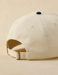 AE Icon Dad Hat