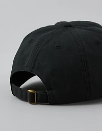 AE Icon Hat