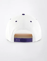 "47 Brand Minnesota Vikings Roscoe Hitch Hat