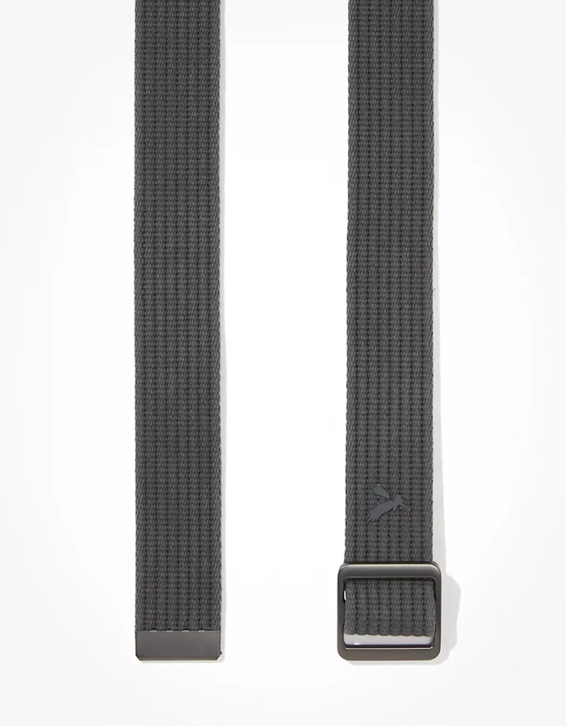 AE Ribbed Web Belt