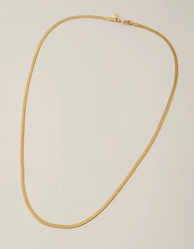 AEO Snake Chain Necklace