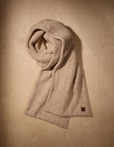 Écharpe en tricot à chevrons AE x Tru Kolors
