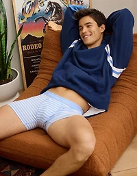 AEO Men's 6" Classic Striped Boxer Brief