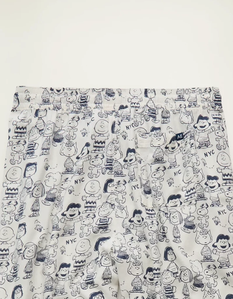 AEO Flannel PJ Pant