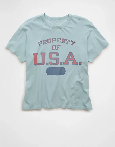 AE Ex-Boyfriend USA Graphic T-Shirt