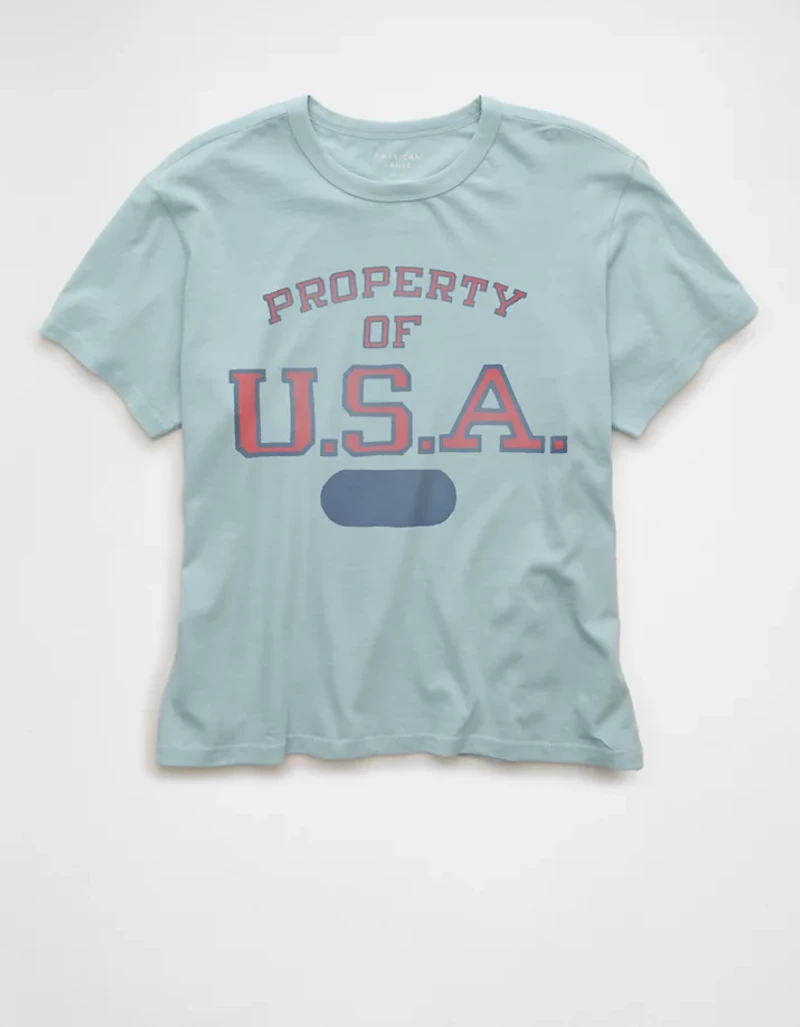 AE Ex-Boyfriend USA Graphic T-Shirt