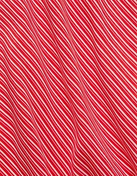 AE77 Striped Slip Skirt