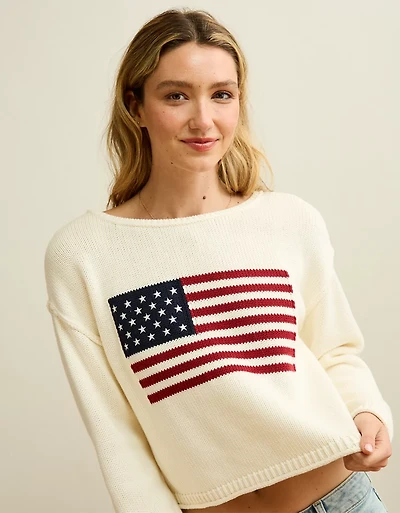 AE American Flag Graphic Sweater