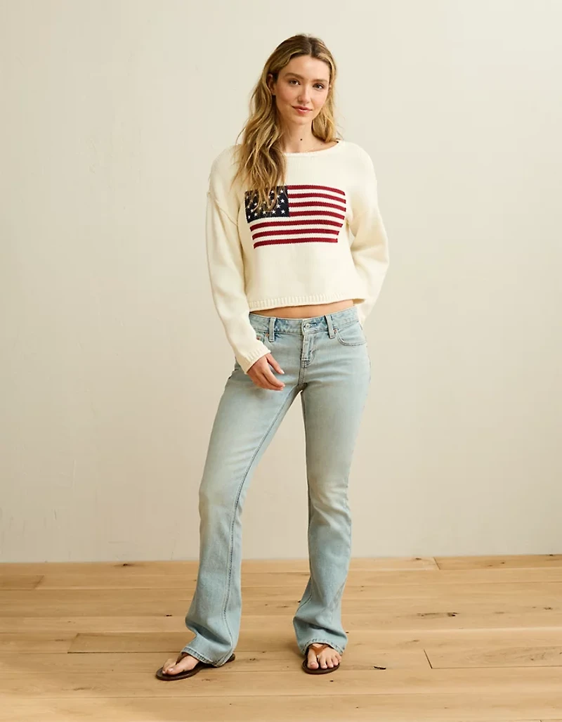 AE American Flag Graphic Sweater