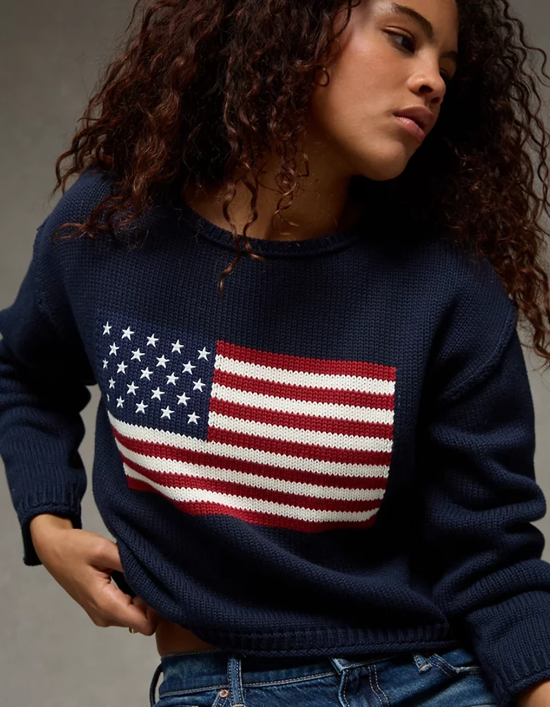 AE American Flag Graphic Sweater