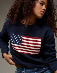 AE American Flag Graphic Sweater