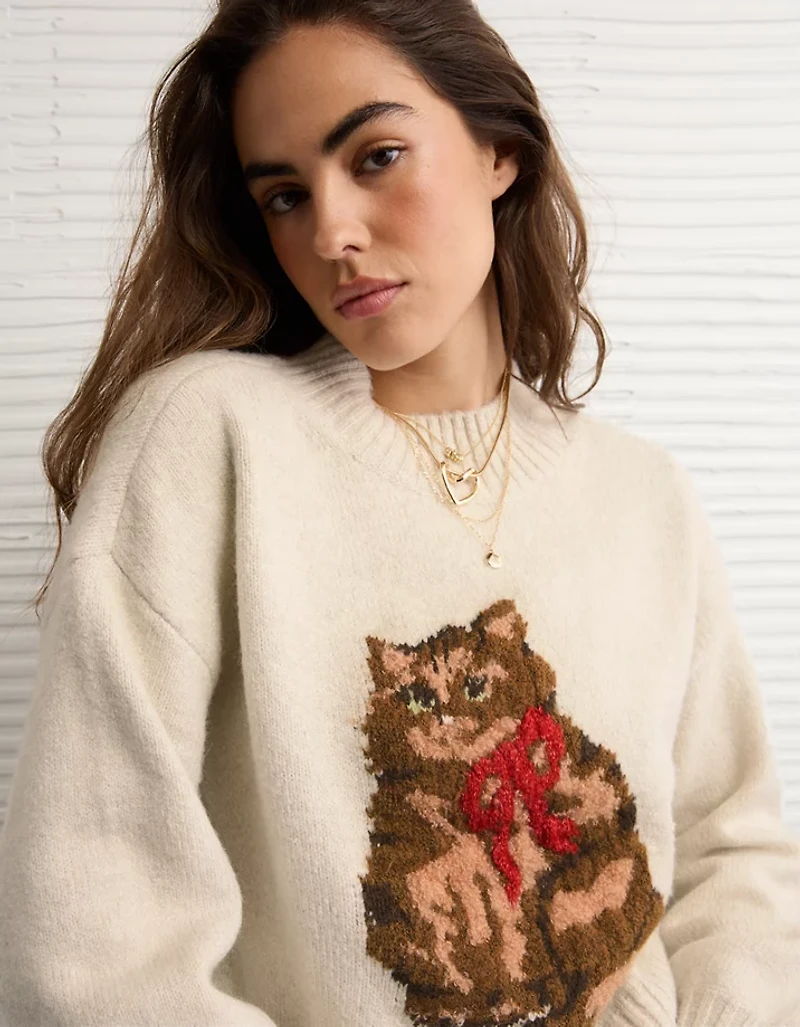 AE Snow Stopper Sweater