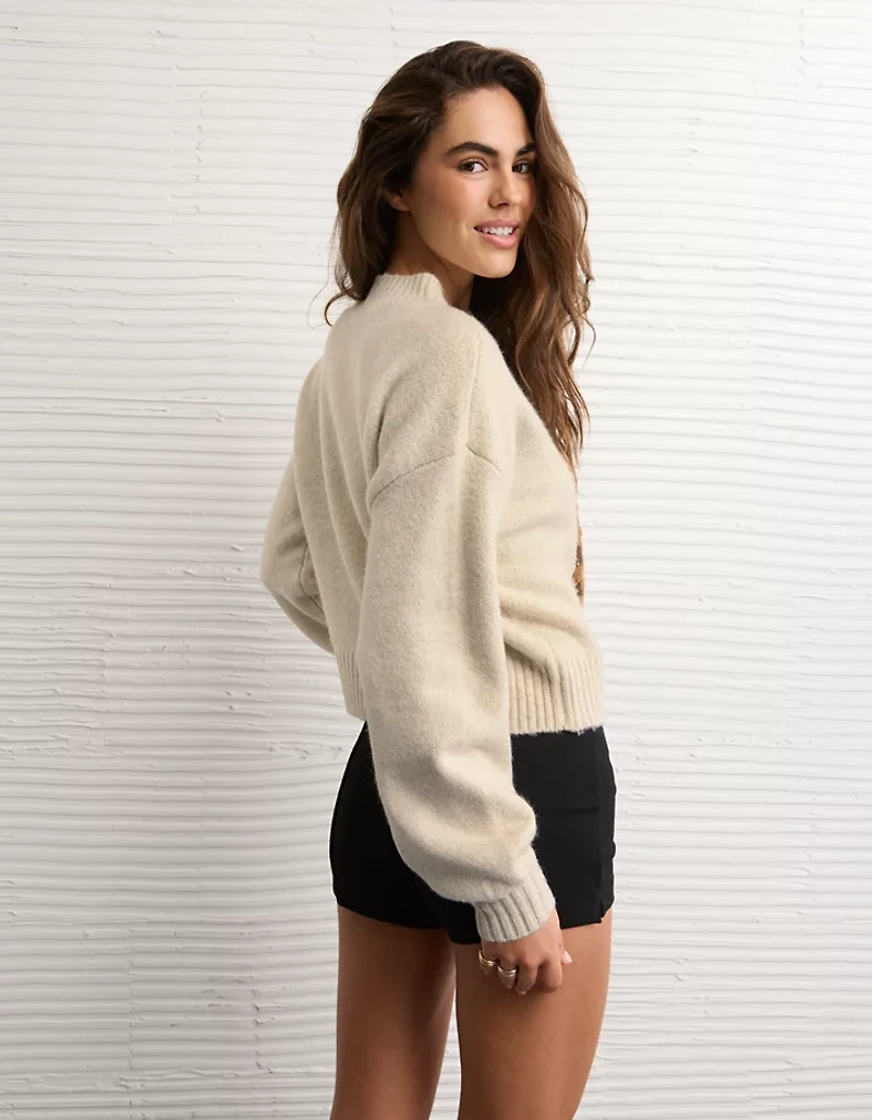 AE Snow Stopper Sweater