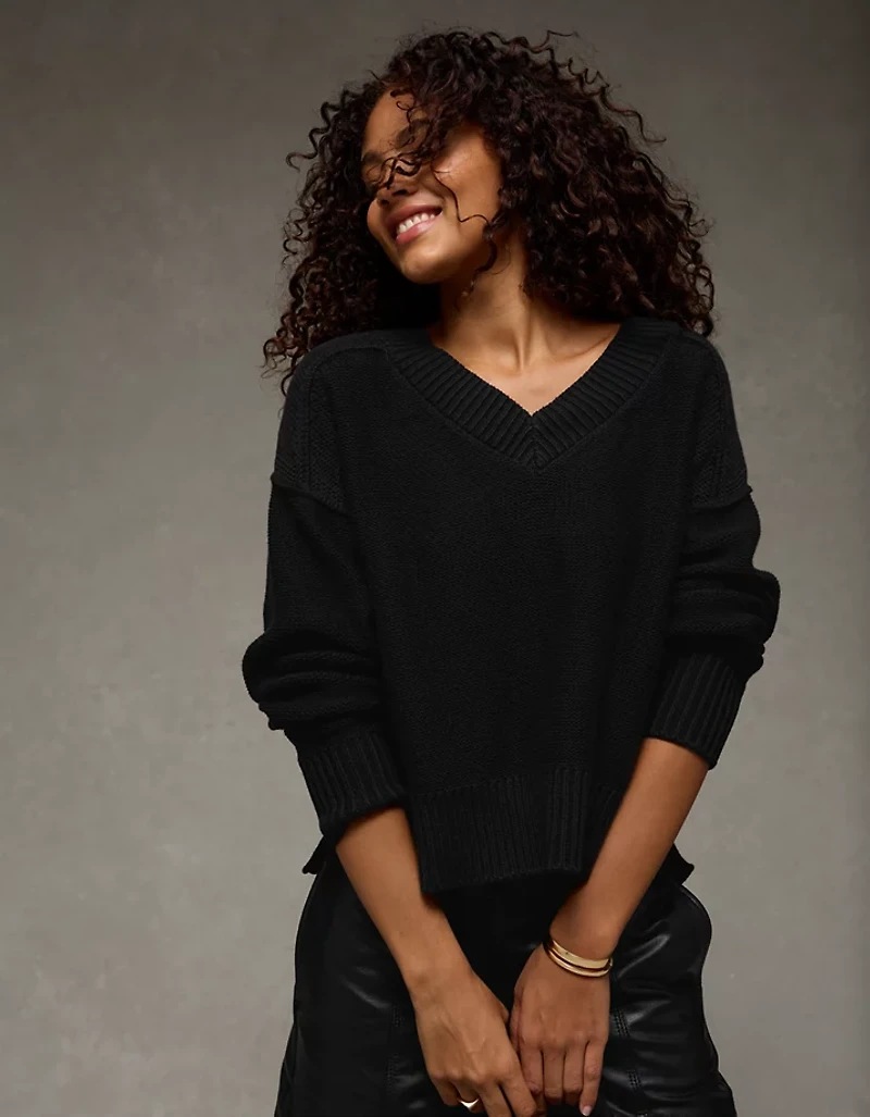 AE Long Weekend V-Neck Sweater