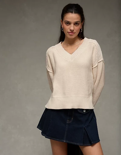 AE Long Weekend V-Neck Sweater