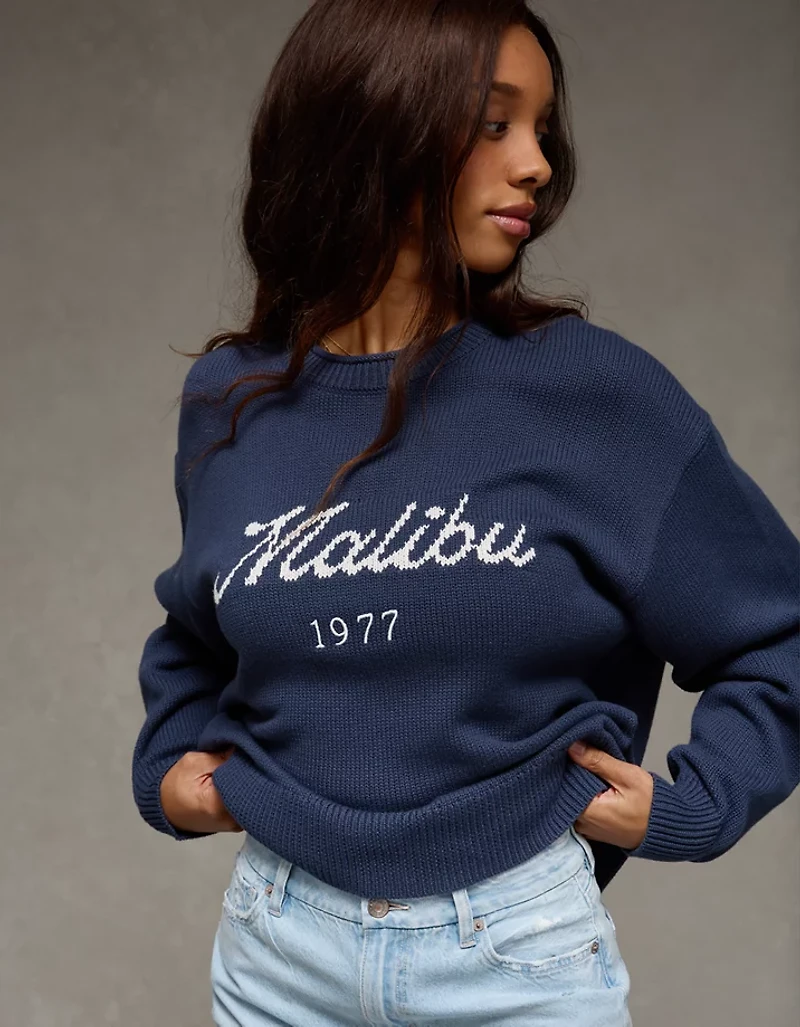 AE Big Hug Oversized Sweater