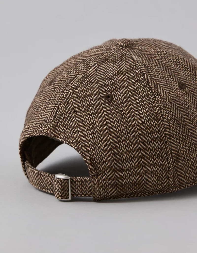 AE Wool-Blend Baseball Hat