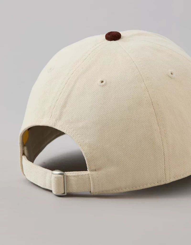 AE Graphic Baseball Hat
