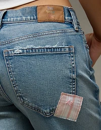 AE Pride Strigid Low-Rise Baggy Straight Jean