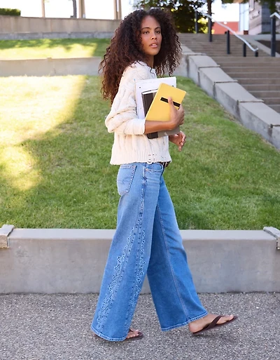 AE Low-Rise Baggy Ultra-Wide Leg Jean