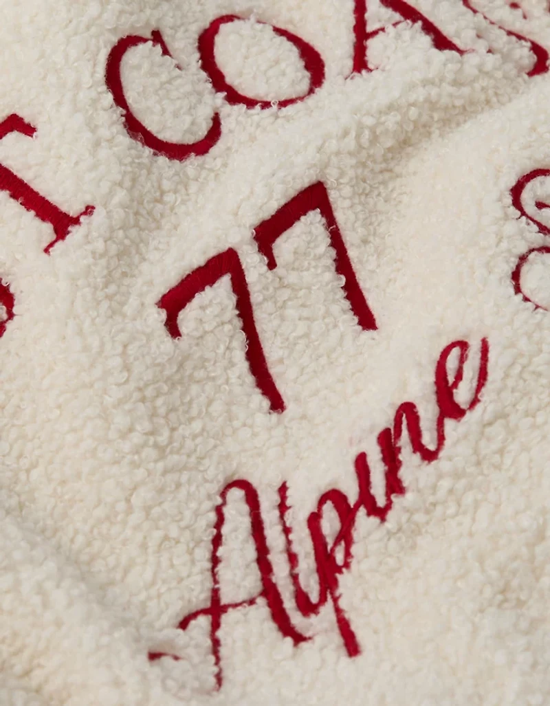 AE Sherpa Fleece Graphic Henley Sweatshirt