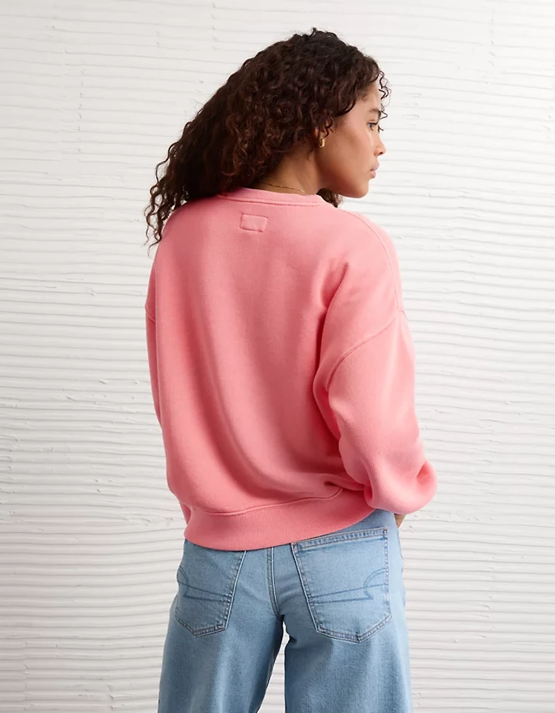 AE Velvet Graphic Crew Neck Sweatshirt