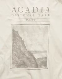AE Boxy Acadia Nat'l Park Graphic T-Shirt