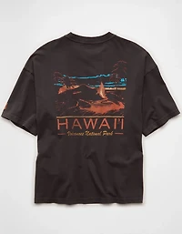 AE Boxy Hawaii National Park Graphic T-Shirt