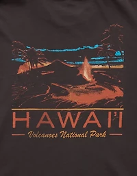 AE Boxy Hawaii National Park Graphic T-Shirt