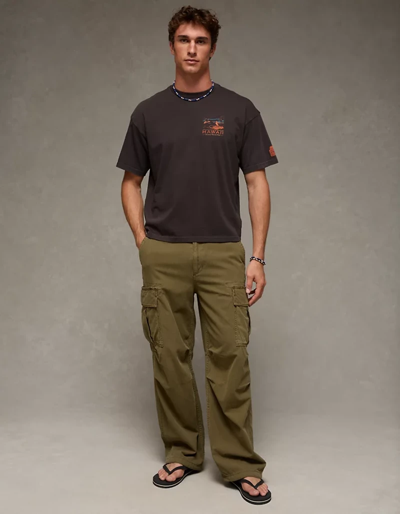 AE Boxy Hawaii National Park Graphic T-Shirt
