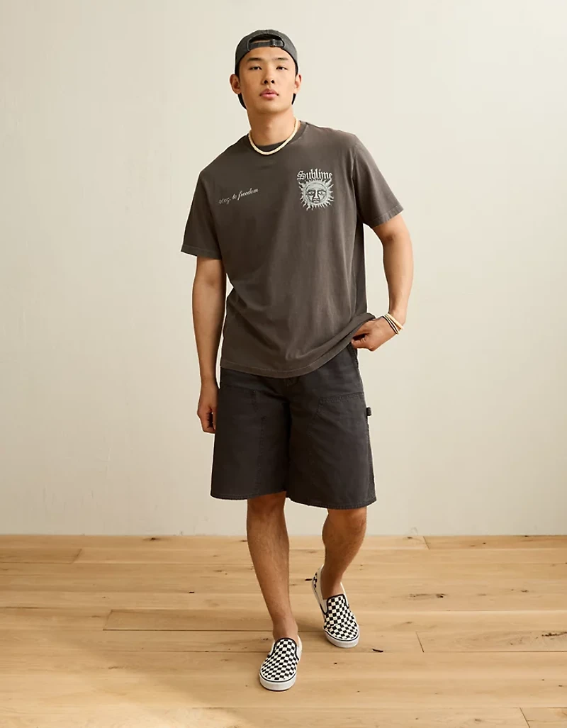 AE Standard Fit Sublime Graphic T-Shirt