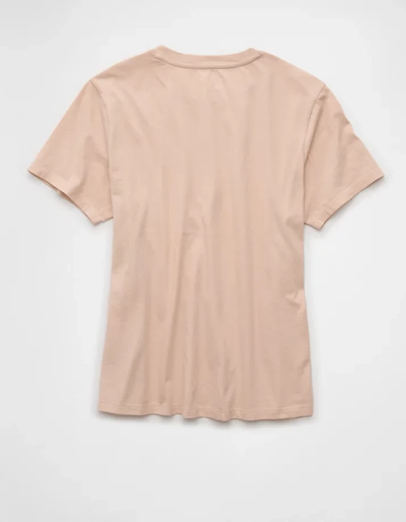 AE Classic Graphic T-Shirt