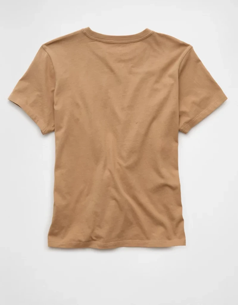 AE Everyday Graphic T-Shirt
