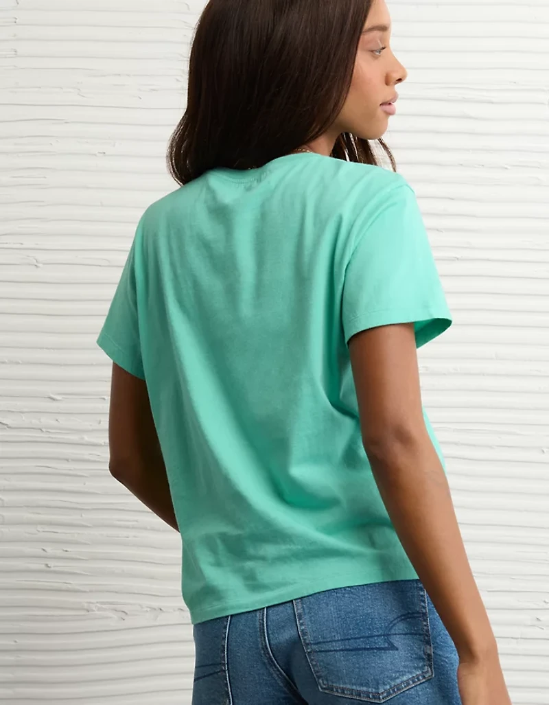 AE Everyday Graphic T-Shirt
