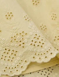 AE V-Neck Embroidered Mini Dress