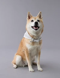 ABO Gingham Snoopy Dog Bandana